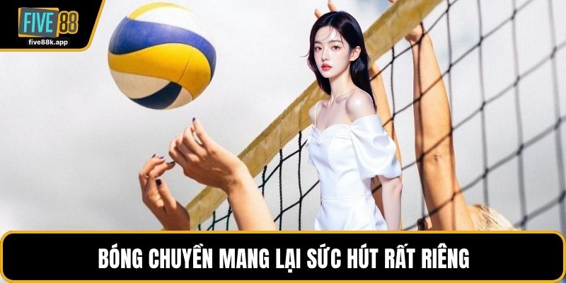 Bóng chuyền mang lại sức hút rất riêng